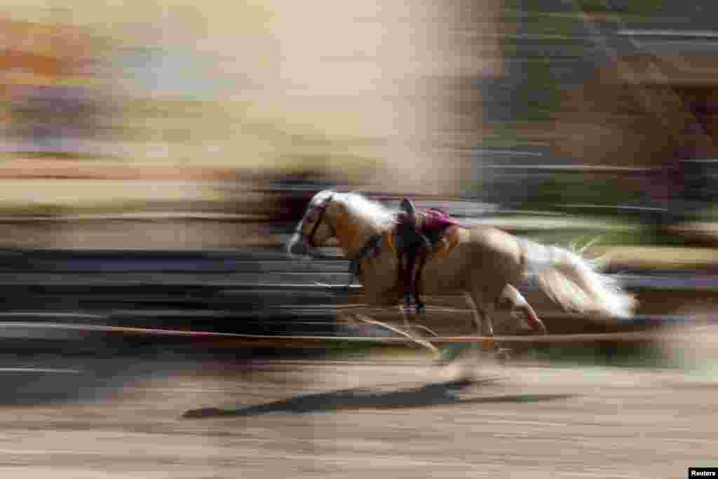 A man performs while riding on a horse during a horse-trick festival in Kopachiv near the Ukrainian capital, Kyiv. (Reuters/Sergii Polezhaka)