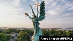 Hungary -- Photos of the rooftop creatures of Budapest