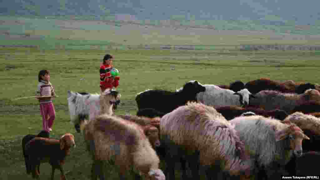 Девочки гонят отару овец в степи близ Аксу-Жабаглинского заповедника.