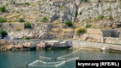 какая рыба водится в балаклаве. Смотреть фото какая рыба водится в балаклаве. Смотреть картинку какая рыба водится в балаклаве. Картинка про какая рыба водится в балаклаве. Фото какая рыба водится в балаклаве