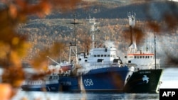 The Arctic Sunrise (right) is moored next to Russian Coast Guard ship in the northern port of Murmansk in October 2013. 
