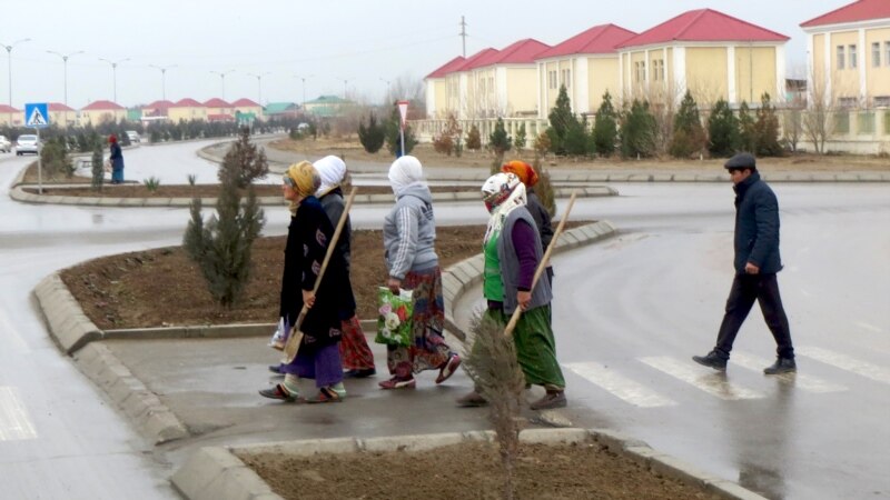 Кто знает, каков уровень безработицы в Туркменистане? 