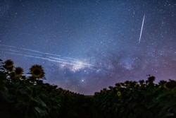 رد ماهواره استارلینک در آسمان برزیل