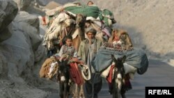 مردم کوچی افغانستان 