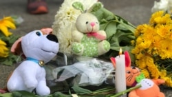 Цветы и детские игрушки у посольства Недерландов в Украине в память о жертвах катастрофы MH17, 17 июля 2018 года. 