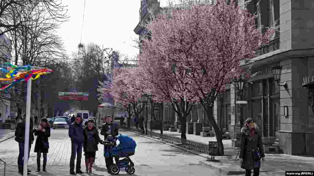 Пока не начался праздничный концерт, в городе довольно малолюдно, деревья в цвету