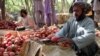 ظهیر: د کندهار سوداګرو پاکستان ته د تازه مېوې صادرات بند کړل