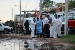 Мексиканская полиция в штате Гуанахуато обследует место очередного массового убийства, совершенного боевиками одного из наркокартелей. 1 июля 2020 года