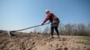 Через засуху фермерам Одеської області будуть компенсувати витрати на нові посіви