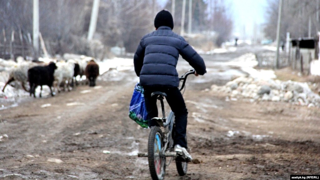 Алдамчы компания айылды уруштурду