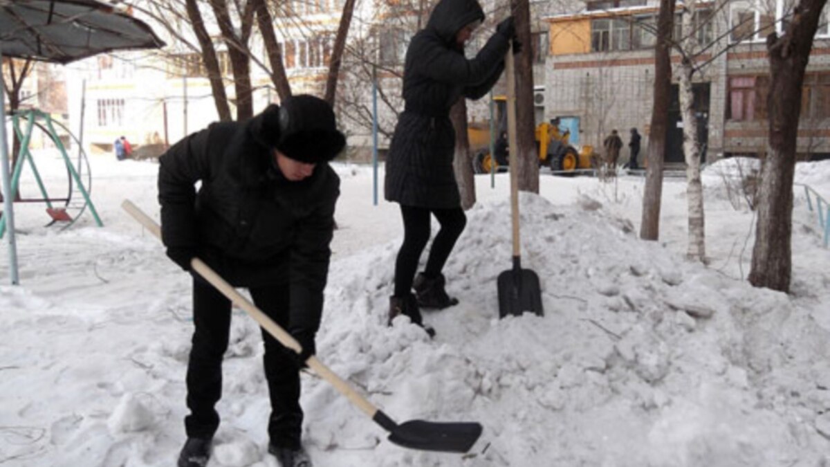 Должны ли воспитатели чистить снег