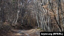 Пчелиное крым как добраться на машине. Смотреть фото Пчелиное крым как добраться на машине. Смотреть картинку Пчелиное крым как добраться на машине. Картинка про Пчелиное крым как добраться на машине. Фото Пчелиное крым как добраться на машине