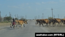 Türkmenistan (arhiw suraty).