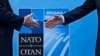 Македонија и НАТО - еуфорија и критицизам 
