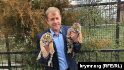 Олег Зубков із новонародженими тигрятами