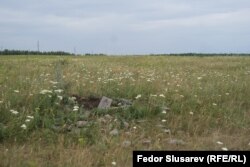 Остатки закладного камня очередного крупного сельхозпроекта в Борском районе