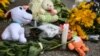 Нідерланди: родичі жертв MH17 закликали Трампа домогтися від Путіна спокутувати вину