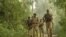FILE: Indian policemen search for suspected militants in the forest areas of Jammu.