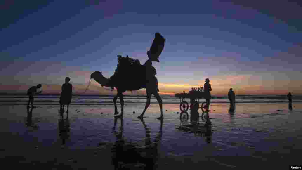 Pakistan - Kokice i kamile čekaju posjetioce Klifton plaže, 12.12.2011. Foto: Reuters / Akhtar Soomro