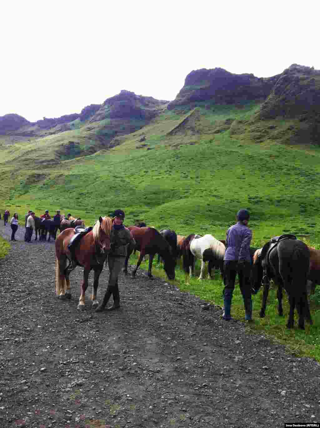 А это исландские лошади единственной породы, существующей в Исландии. Согласно закону, принятому Альтингом еще в дохристианские времена, на остров нельзя ввозить лошадей других пород, а если лошадь однажды вывезли - ей нельзя возвращаться. Исландские лошади низкорослы как пони, но гораздо грузнее.