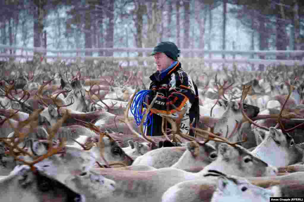 The Sami are an indigenous people who live in parts of Scandinavia and the Arctic. Their lives have traditionally revolved around reindeer herding. Kjell says of the Sami way of life: "We are the last free people on earth. If I want to go into the mountains, I go. If I want to stay at home, I stay at home."