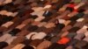 Muslims pray outside the shrine of a Sufi saint in Srinagar, Kashmir on December 21.(Reuters/Danish Ismail)&nbsp;&nbsp;