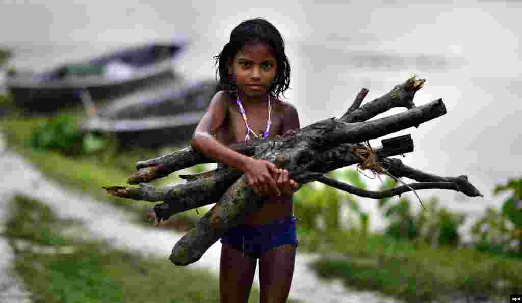 A girl carries firewood collected from flood waters in the Morigaon district of Assam state, India. (epa)