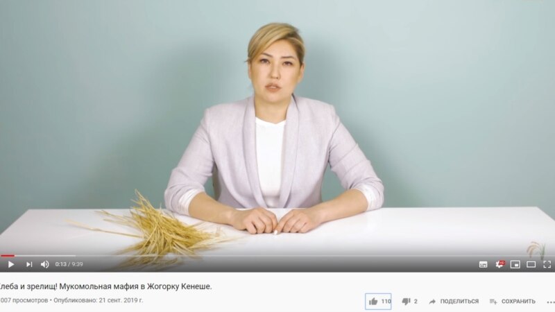 Парламент депутаттары «Үмүт 2020» кыймылынын видеосу боюнча жооп беришти