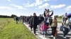 Большая группа мигрантов идет по дороге на севере Дании 