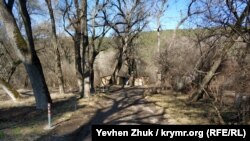 Вокруг усадьбы сохранились старые каштаны