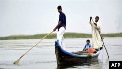 A major restoration program has seen people and wildlife return to Iraq's marshlands area, regarded by some as the site of the Biblical Garden of Eden. (file photo)