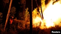 Pamje nga përpjekja e një zjarrfikësi për ndaljen e flakës në një mal në Portugali