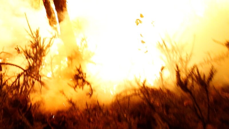 Пастбище в Таласской области горит третий день