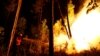 В Португалии в пожарах погибли 62 человека