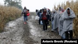 Migranti u blizini granice Hrvatske, ilustrativna fotografija