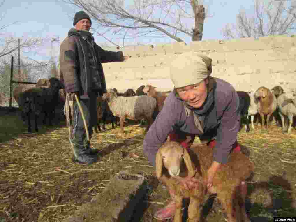 Фото сделано в селе Боролдой Кеминского района. Семья Арзиевых занимается скотоводством. Автор:&nbsp;Перизат Жаныбаевой.