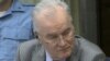 UN Court Upholds Mladic Charges