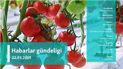 Habarlar gündeligi