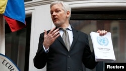 Themeluesi i Wikileaks, Julian Assange 