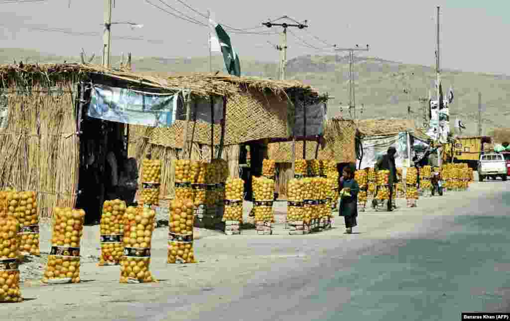 Pakistani vendors sell apples at roadside stalls in Killa Abdullah, a district in the northwest of Balochistan Province. (AFP/Banaras Khan)