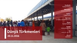 Migrant türkmenler "ildeş jenaýatçylygynyň" sebäplerini derňeýär