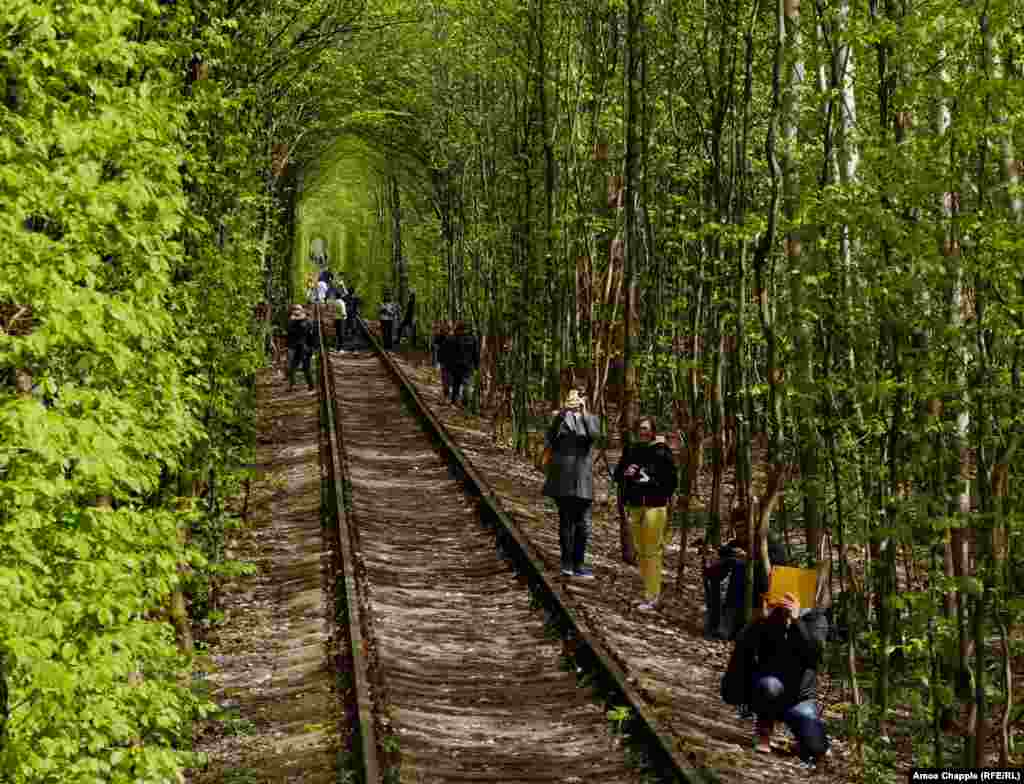 Last year a 38-year-old Japanese woman was struck by the train, fracturing her hip. But the train operators say this was a freak event and they&rsquo;re not concerned about growing numbers of tourists.