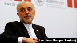 Ali Akbar Salehi said that Iran's "biggest priority" was to maintain the nuclear accord, but "not at any price." (file photo)