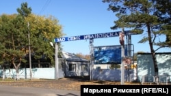 СПМК «Ивановская», где, по словам жителей Березовки, работал отец Анатолия Чепиги.