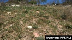 На восточном склоне – обломки старой черепицы