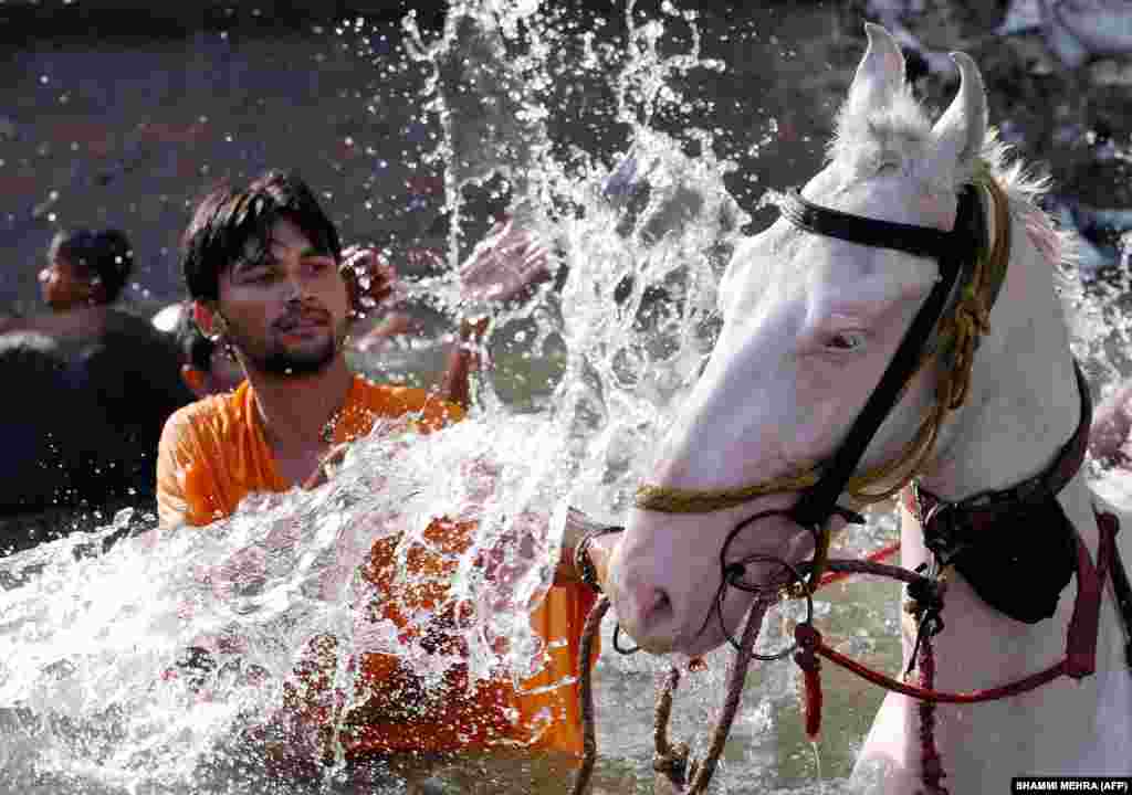 An Indian man cools off his horse during a bath in a canal in Jalandhar. High temperatures of 45 degrees Celsius affected much of central and northern India ahead of the summer monsoon rains. (AFP/Shammi Mehra)