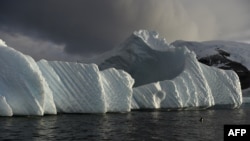 An iceberg off the western Antarctic peninsula where scientists are starting an ambitious environmental research project.