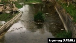 Иллюстративное фото.