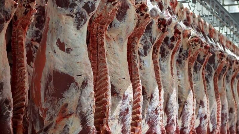 افزایش چشمگیر قیمت گوشت قرمز در ایران طی یک‌ماه 