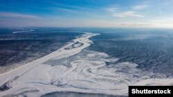 Тайга в Якутии. Иллюстративное фото.